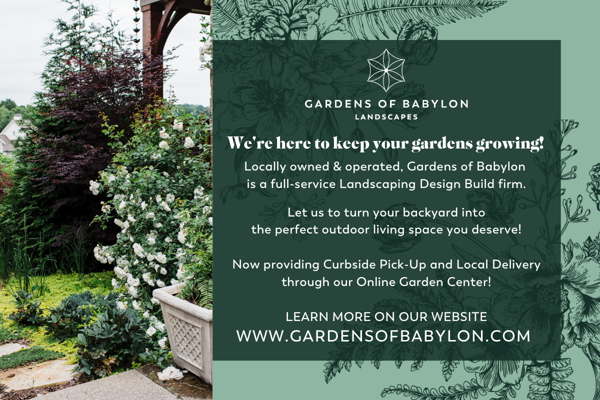 Service_Gardens-of-Babylon-Landscapes