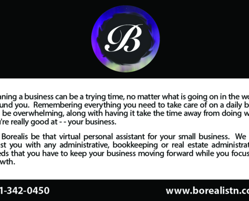 Business_Borealis_1200x800